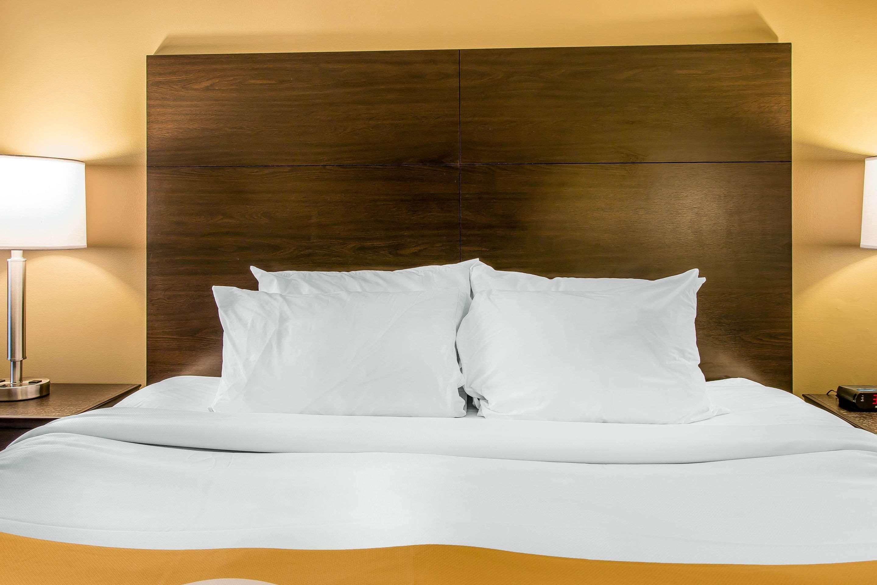הוטון Quality Inn & Suites מראה חיצוני תמונה